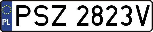 PSZ2823V