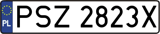 PSZ2823X