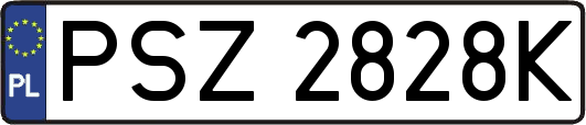 PSZ2828K