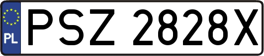 PSZ2828X