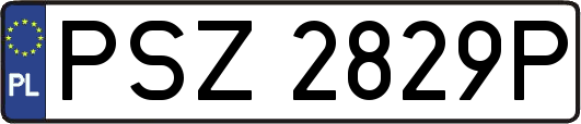 PSZ2829P