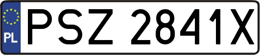 PSZ2841X