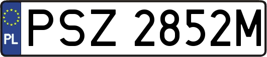 PSZ2852M