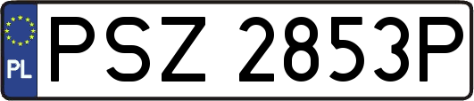 PSZ2853P