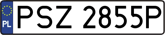 PSZ2855P