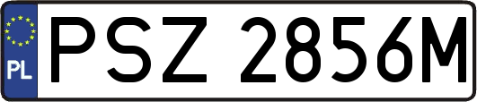PSZ2856M