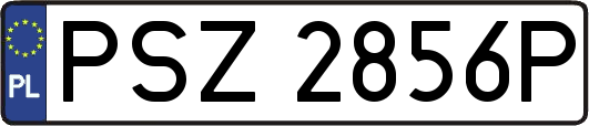 PSZ2856P
