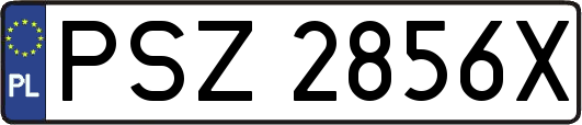 PSZ2856X
