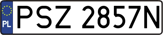 PSZ2857N