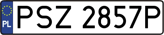 PSZ2857P