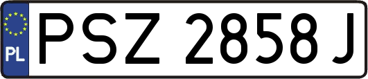 PSZ2858J