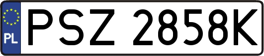 PSZ2858K