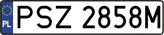 PSZ2858M