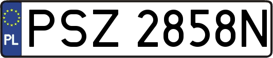 PSZ2858N