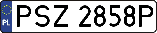 PSZ2858P