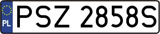 PSZ2858S
