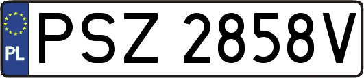 PSZ2858V