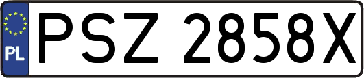 PSZ2858X