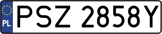 PSZ2858Y