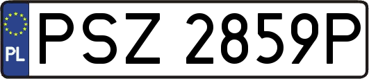 PSZ2859P