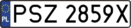PSZ2859X