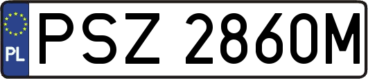 PSZ2860M