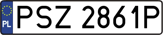 PSZ2861P