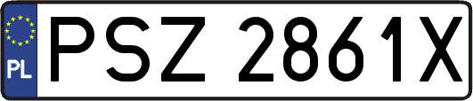 PSZ2861X