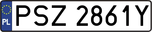 PSZ2861Y