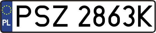 PSZ2863K