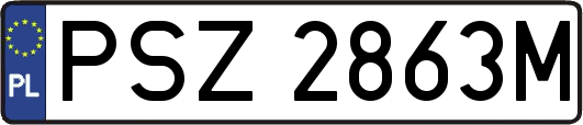 PSZ2863M