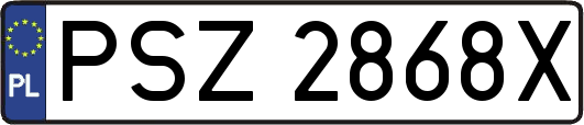 PSZ2868X