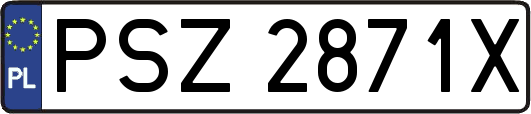 PSZ2871X