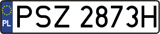 PSZ2873H