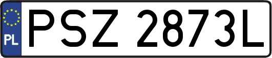 PSZ2873L