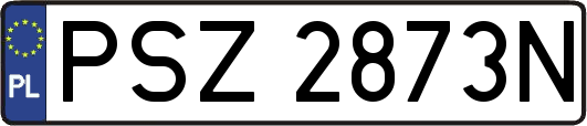 PSZ2873N
