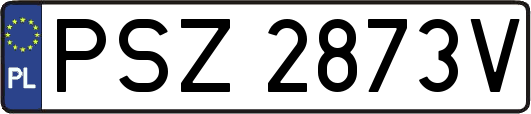 PSZ2873V