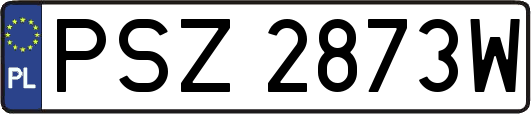 PSZ2873W