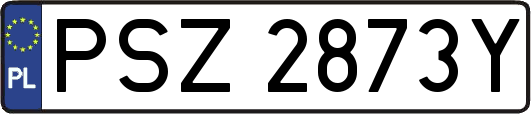 PSZ2873Y