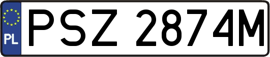 PSZ2874M