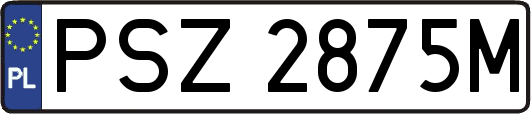PSZ2875M
