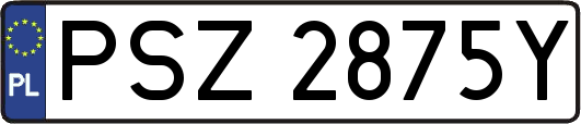 PSZ2875Y