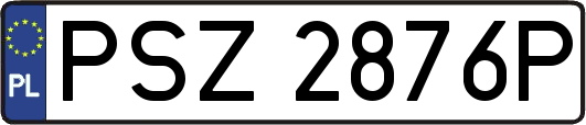 PSZ2876P