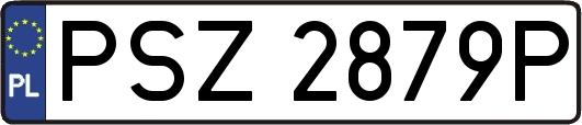 PSZ2879P