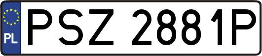 PSZ2881P
