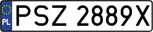 PSZ2889X