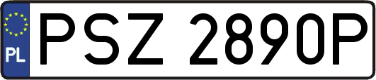 PSZ2890P