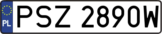 PSZ2890W