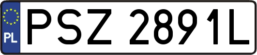 PSZ2891L