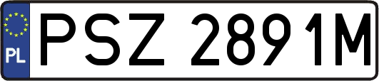 PSZ2891M
